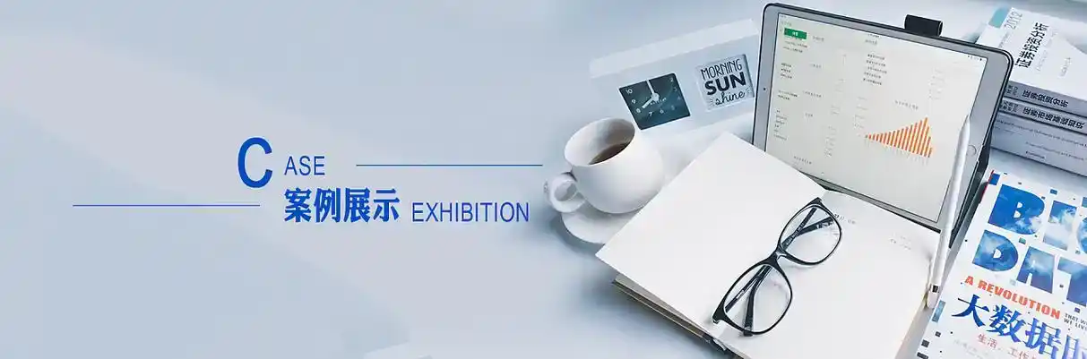 依安县软件开发